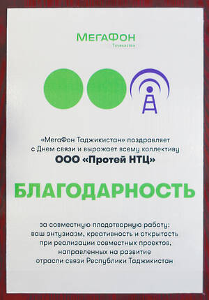 Megafon_TT2021 PROTEI